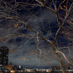 "03_East River Park" by George Hirose, photograph