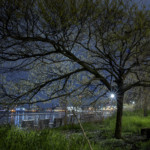 "04_East River Park" by George Hirose, photograph