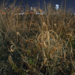 "05_East River Park" by George Hirose, photograph