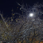"06_East River Park" by George Hirose, photograph