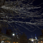 "07_East River Park" by George Hirose, photograph