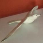 "Gull" by George Metritikas, Wood sculpture