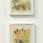 "Weeds and Wildflowers" by Melinda Billings, Watercolor, 10” X 10” and 11” x 11”