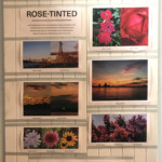 "Rose Tinted" by Shawn Dahl, photo montage construction, 36’ X 46”