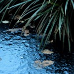 Francine Lange 002_Blue Ice