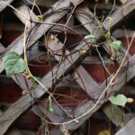 EJay Sims - Self-Portrait