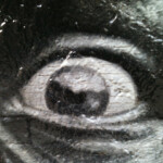 Lorraine Forte - Eye_Contact_Forte_17x22