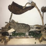 Deedee Maucher - Gaia