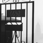 Peter Welch - Exiting Hollywood