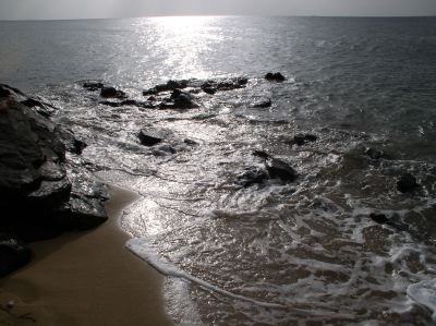 Scapes - 6