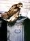 juvenile Red-tailed Hawk